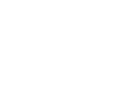 Vision icon